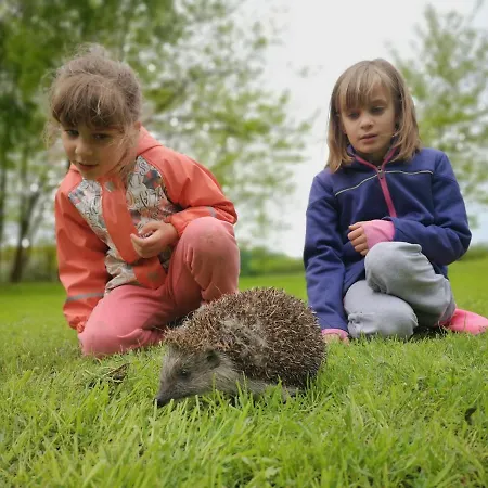 Villa Tuecsoektanya Vendeghaz *
